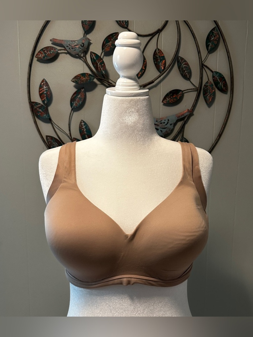 Warner’s Wireless Bra